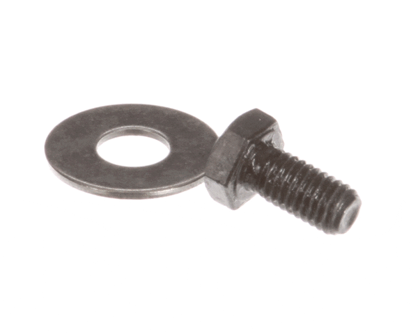 GLOBE X60019 SCREW & WASHER -SP60 OLD STYLE