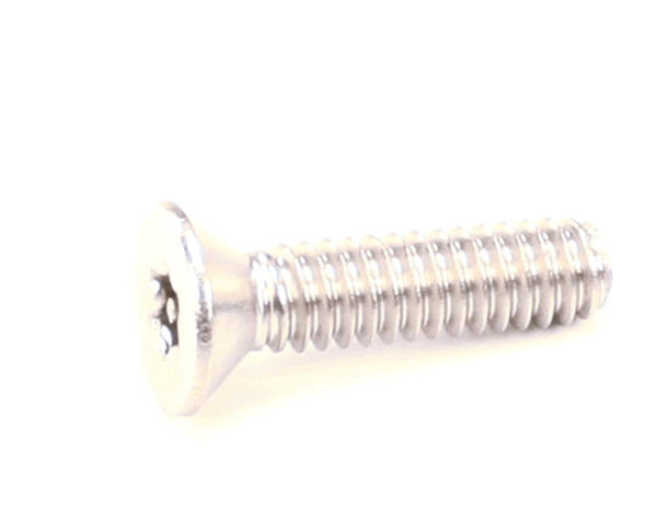 NORLAKE 118513 SCREW 1/4 20X1 TORX T.P. SS