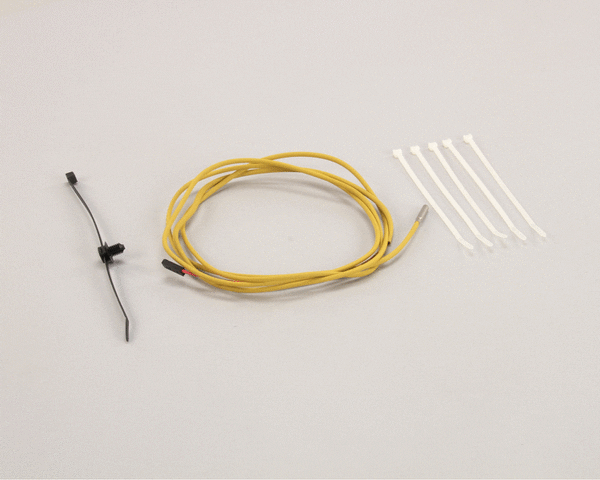 ANTUNES 7000866 THERMOCOUPLE KIT  PLATEN