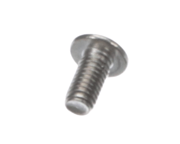 BERKEL 01-402175-02831 SCREW BUTTON SOCKET HD CAP