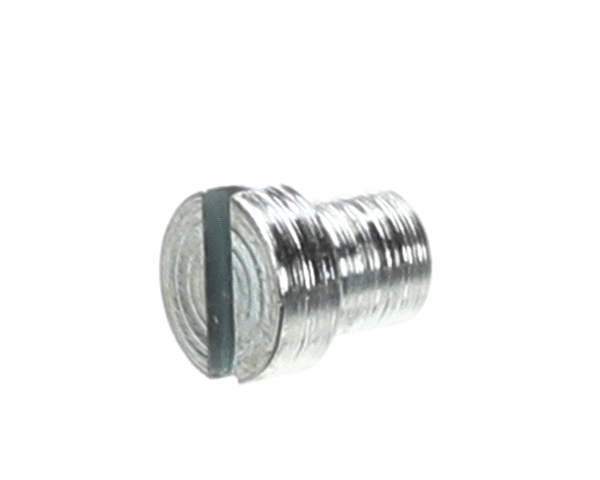 GLOBE 810335 GAUGE PLATE SUPPORT SCREW