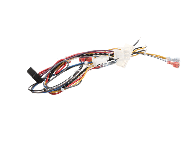 PITCO B6796201 WIRING BZL CPI W/DC TB-SRT